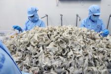 Những “trụ cột” để kinh tế Khánh Hòa tăng trưởng