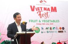 Thương mại Việt Nam - Singapore khởi sắc trong nửa đầu năm 2025