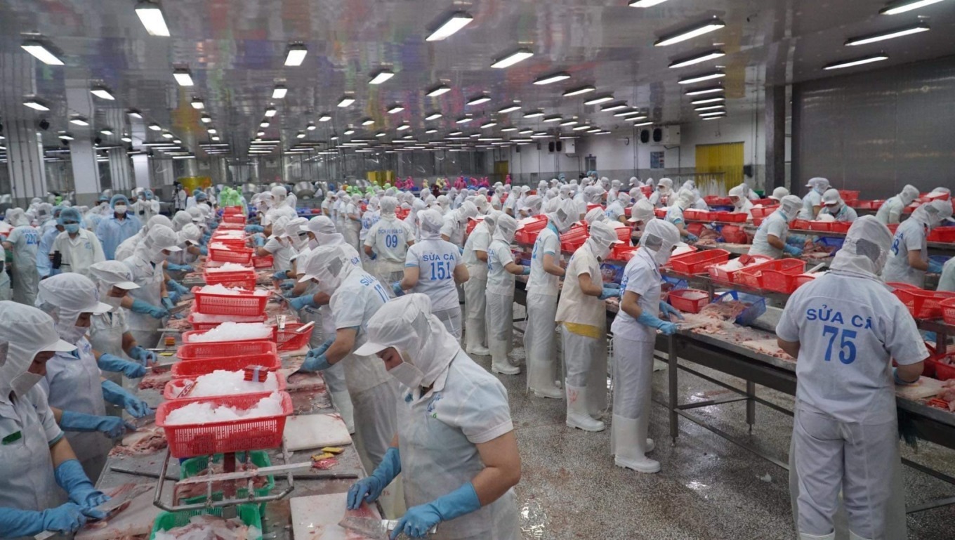 Cá tra Việt Nam bị cạnh tranh gay gắt