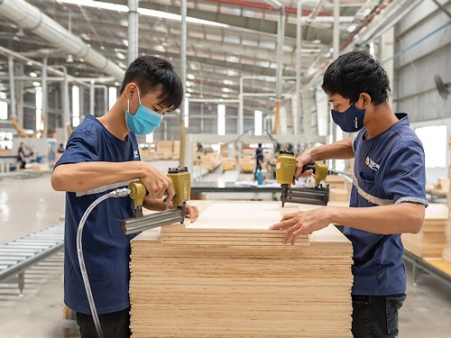 Xuất khẩu gỗ chuyển biến đáng mừng