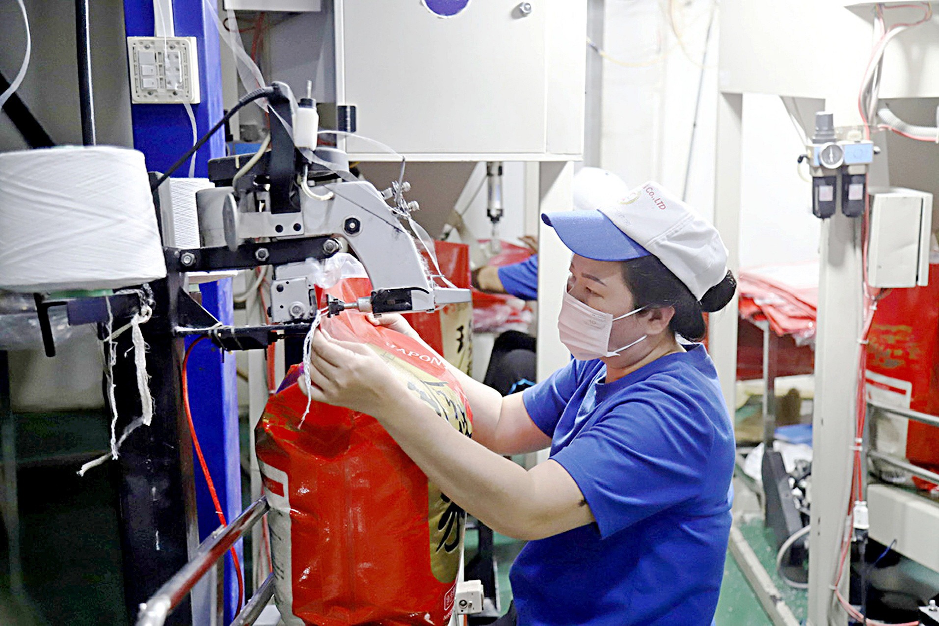 Sẽ sớm có nhãn hiệu gạo Việt