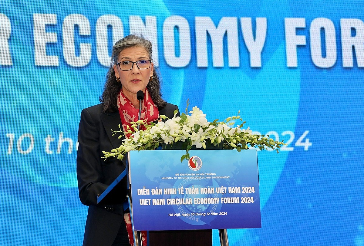 UNDP: 'Việt Nam cần cải cách thể chế để chuyển đổi xanh'