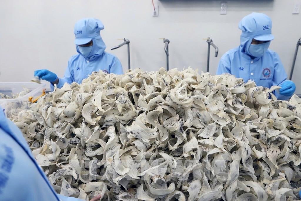 Những “trụ cột” để kinh tế Khánh Hòa tăng trưởng