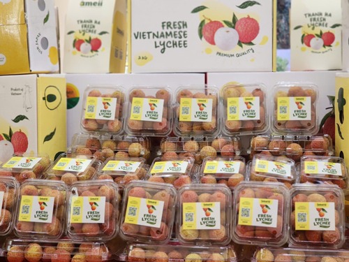 Xuất khẩu rau quả trở lại &quot;đường đua&quot;