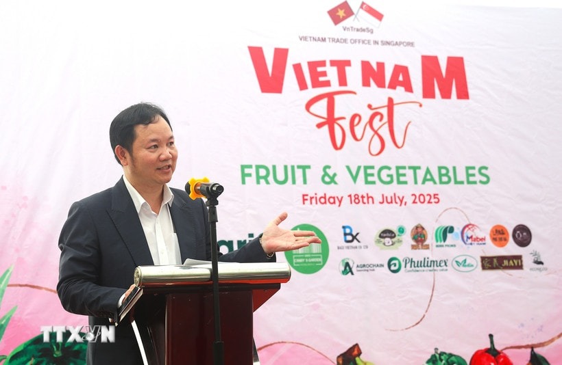 Thương mại Việt Nam - Singapore khởi sắc trong nửa đầu năm 2025