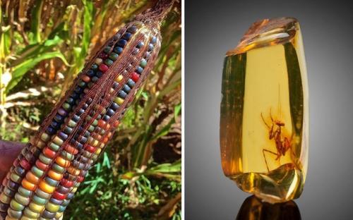 Thiên nhiên đôi khi kỳ ảo đến mức nếu không được chụp lại, chẳng ai tin đó là thật