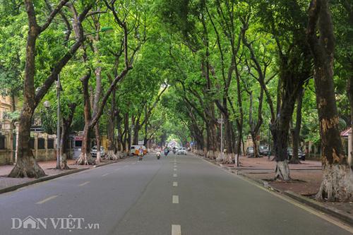 Ảnh: Những con đường "mát mặt" dù Hà Nội nắng nóng đổ lửa -Trọng Nghĩa 