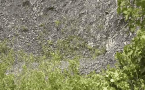 Clip kích nổ tiêu hủy quả bom dài 1,2m được người dân phát hiện