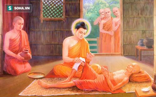 Nhất quyết làm sư, 6 tháng sau "gặp chuyện": Đức Phật hỏi 3 câu khiến người đàn ông vỡ lẽ