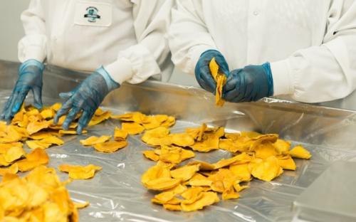 Chàng trai Philippines chế tạo thành công nhựa phân hủy sinh học từ vỏ xoài và rong biển