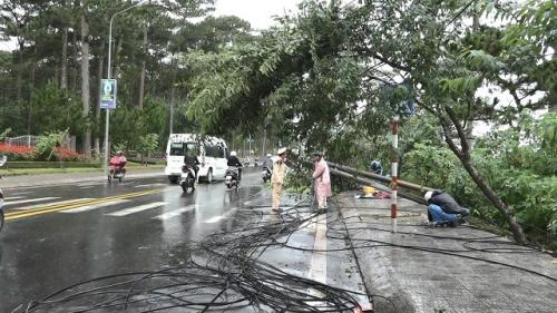 Xe khách tông vào dây diện võng xuống đường, 3 trụ điện bật gốc -Văn Long 