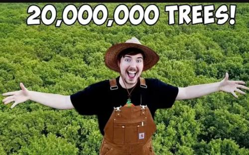 Ai cũng ăn mừng triệu người đăng ký như youtuber này, còn được Elon Musk ủng hộ, Trái Đất chẳng mấy mà được phủ xanh