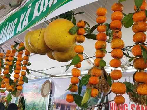 Cao Phong tưng bừng tổ chức lễ hội cam lần thứ 5