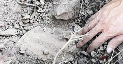 Cà Mau giám định mẫu vật nghi xác thai nhi trong nhà máy rác