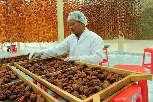 Đà Lạt: Hồng treo gió, trà atiso, cà phê được chấm điểm 4-5 sao