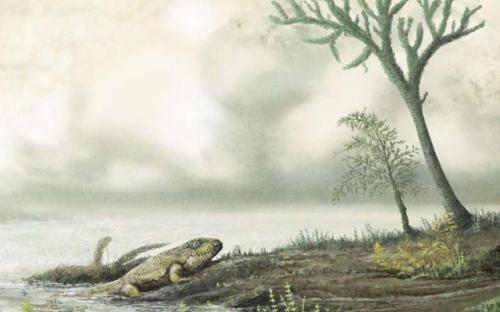 Khoa học đang nghiên cứu lịch sử kháng kháng sinh của vi khuẩn trong hàng triệu năm, trước cả khi khủng long xuất hiện