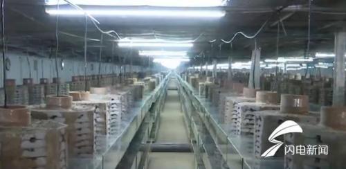 Không có tiền du học, 9x ở nhà nuôi bọ cạp, kiếm 7 tỷ đồng/năm