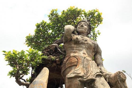 Xôn xao 'cây Thạch Sanh' được báo giá hơn 4 tỷ ở Hải Dương