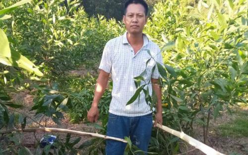 Danh tính kẻ vác dao chặt phá hơn 3.000 gốc keo của người dânP