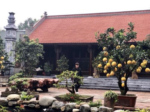 Biệt phủ gỗ 3D chục tỷ đồng: Nhà hoài cổ nét lạ của đại gia Việt