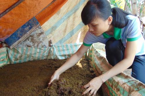 Nữ kỹ sư 9x bỏ việc về quê nuôi… giun