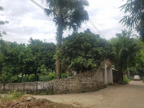 Xót xa di chỉ nghìn năm bị "lãng quên" ở Phú Thọ -Ngô Hùng 