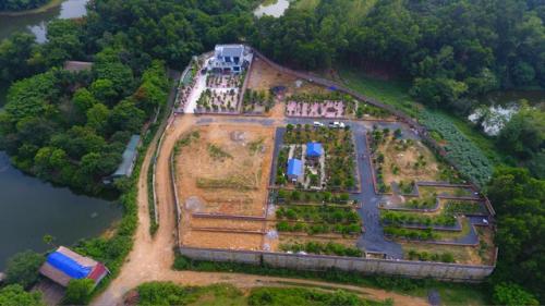 Chiêm ngưỡng nhà vườn toàn siêu cây bạc tỷ của ông vua cây cảnh