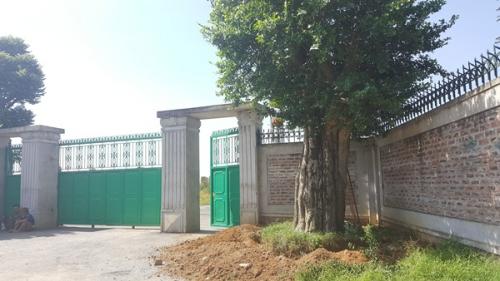 Dự án của người nhà Giám đốc Sở KHĐT Hà Nội được "biến hóa" ra sao?-Gia Tưởng - Vinh Hải 