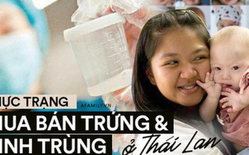 Thị trường mua bán trứng và tinh trùng phi pháp ở Thái Lan: Người người "săn giống" đẹp và thông minh giá nghìn đô của người mẫu và nam sinh y khoa