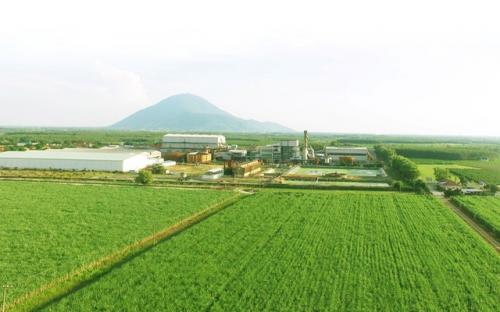 Các chuyên gia quốc tế chia sẻ bí quyết giúp nông dân Việt Nam tăng năng suất mía đường lên gấp đôi, ngang ngửa con số của "người hàng xóm" Thái Lan – 190 tấn/ha