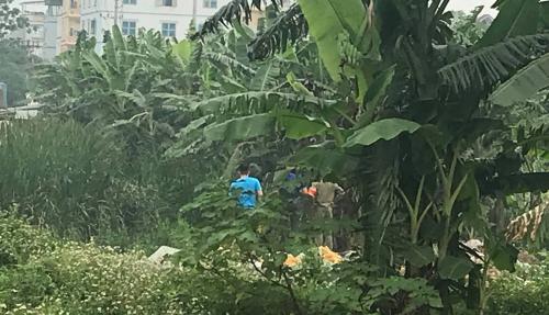 Hà Nội: Phát hiện thi thể nhiều phần bị cháy xém trong bụi chuối