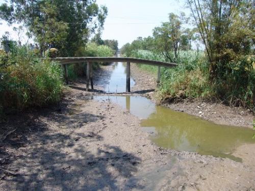 Khẩn cấp cứu “khát” cho hàng ngàn hộ dân do hạn mặn kỷ lục -Trần Cửu Long 