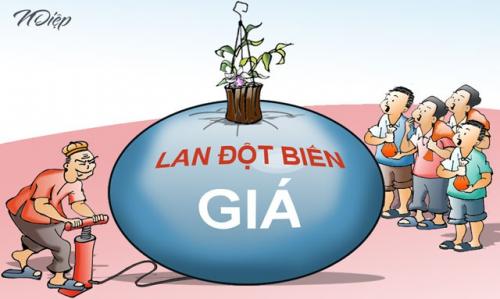 Liệu bây giờ, có ai đang “ôm lan mà… khóc”!