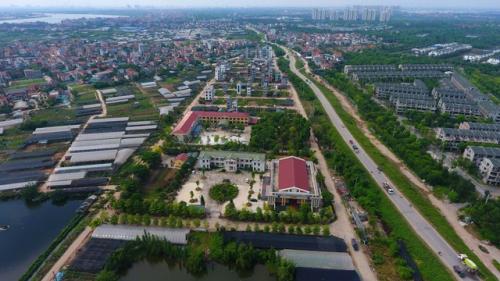 Về thủ phủ trồng hoa gần Hà Nội, người dân lái xe sang đi thăm vườn