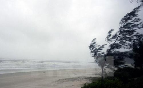 Xuất hiện vùng áp thấp trên Biển Đông