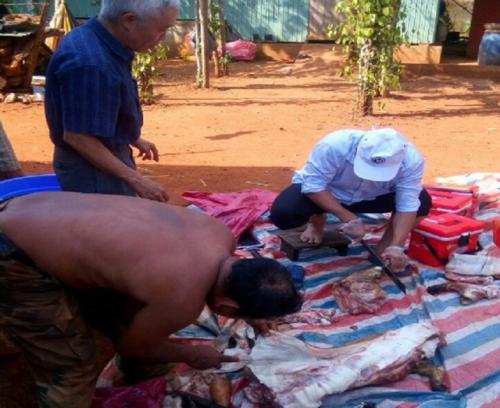 Giật mình cảnh sán dây rơi khi làm thịt lợn thả rông, hàng loạt người nhiễm bệnh