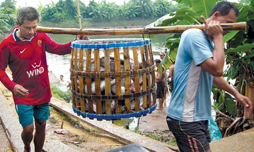 Tín dụng nông thôn: Phải có thiết chế phù hợp