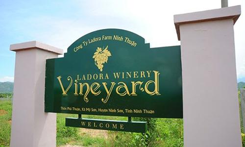 Ladora Winery: Từ giấc mơ đến hiện thực