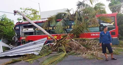 Ôtô giường nằm tông gãy 2 cây dừa, hàng chục hành khách kêu cứu